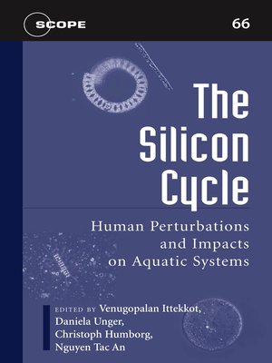 cover image of The Silicon Cycle